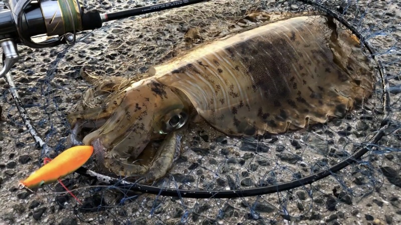 f:id:dreadnote666:20200418141605j:plain