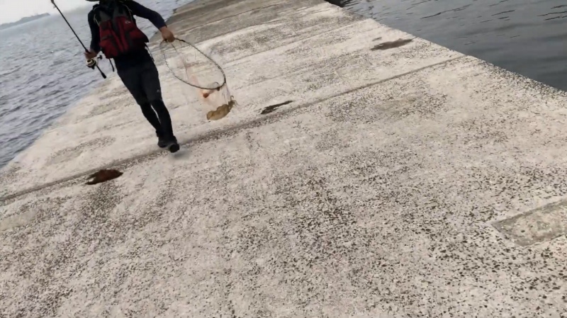 f:id:dreadnote666:20200418141617j:plain