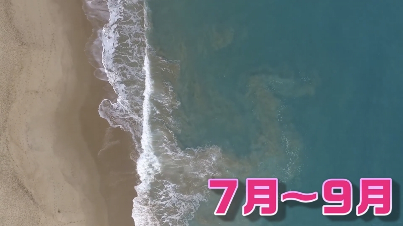 f:id:dreadnote666:20200418141624j:plain