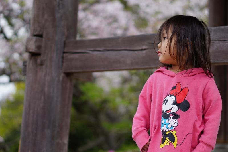 f:id:dreadnote666:20200421071428j:plain f:id:dreadnote666:20200421071428j:plain