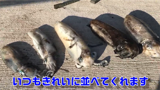 f:id:dreadnote666:20200428124222p:image