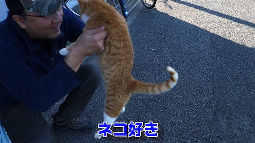 f:id:dreadnote666:20200428124537p:image