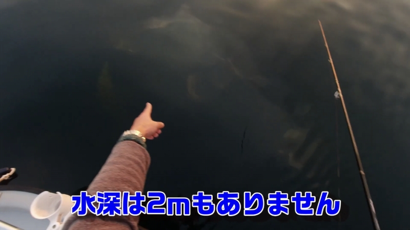 f:id:dreadnote666:20200501101737j:plain
