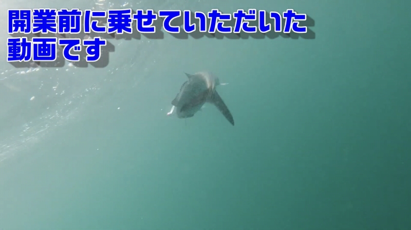 f:id:dreadnote666:20200501101745j:plain