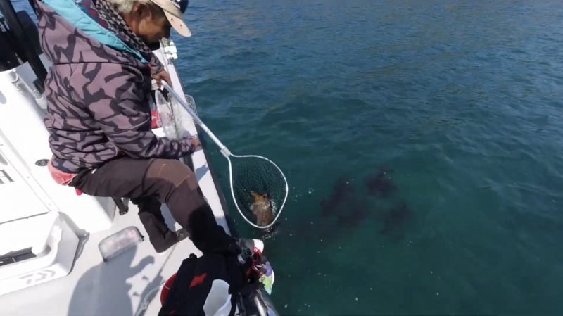 f:id:dreadnote666:20200501101810j:plain