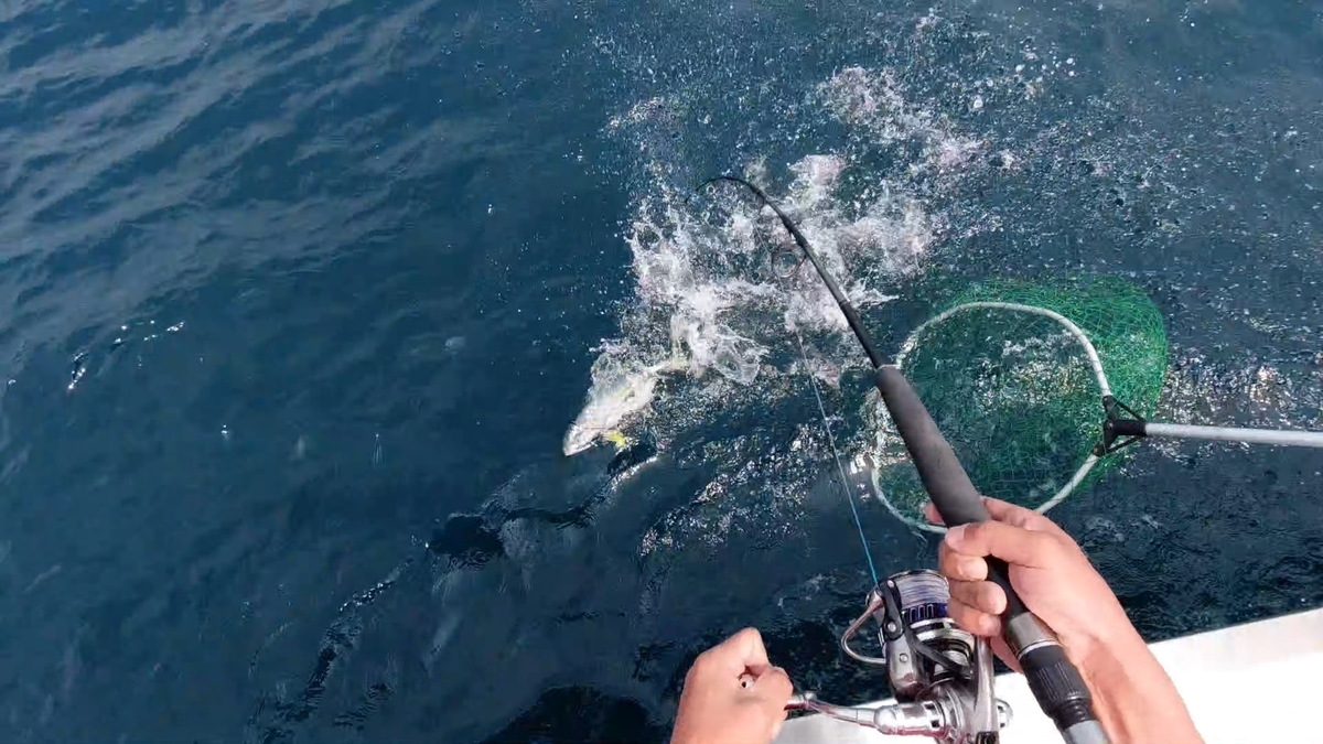 f:id:dreadnote666:20200514181844j:plain