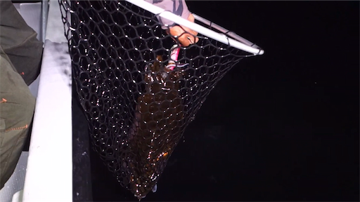 f:id:dreadnote666:20200601113028p:image