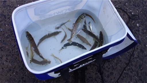 f:id:dreadnote666:20200608095604p:image f:id:dreadnote666:20200608095604p:image