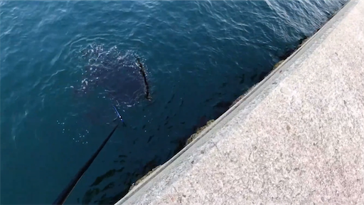 f:id:dreadnote666:20200629114147p:image f:id:dreadnote666:20200629114147p:image