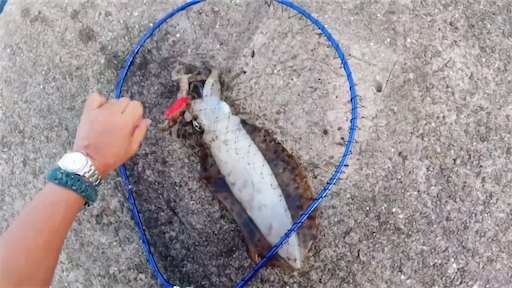 f:id:dreadnote666:20200629114219p:image f:id:dreadnote666:20200629114219p:image