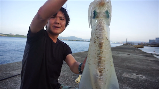 f:id:dreadnote666:20200630140739p:image