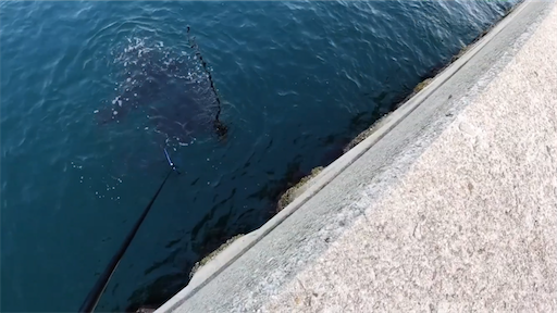 f:id:dreadnote666:20200630140758p:image