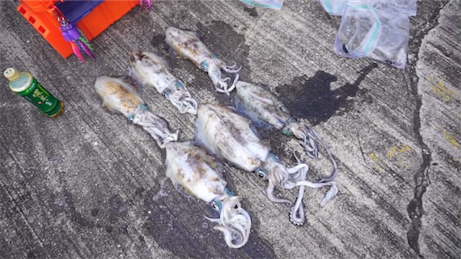 f:id:dreadnote666:20200708111033p:image