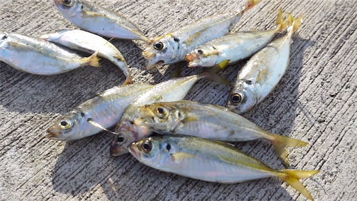 f:id:dreadnote666:20200708113124p:image