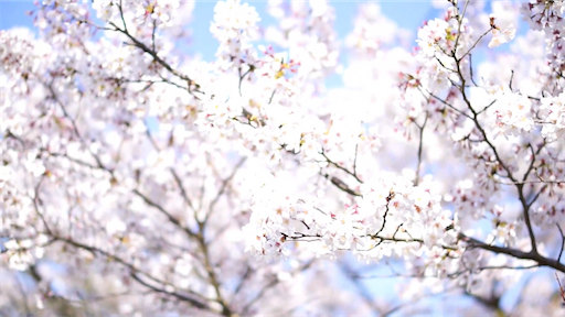 f:id:dreadnote666:20200713104415p:image