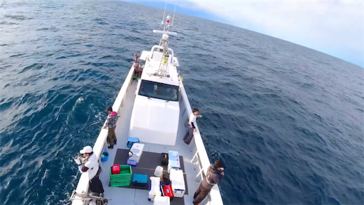 f:id:dreadnote666:20200727111325p:image f:id:dreadnote666:20200727111325p:image