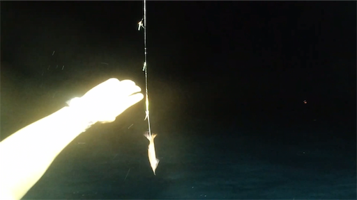 f:id:dreadnote666:20200727111402p:image f:id:dreadnote666:20200727111402p:image