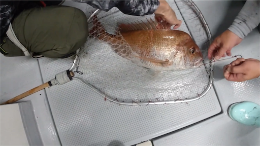 f:id:dreadnote666:20200727111434p:image f:id:dreadnote666:20200727111434p:image