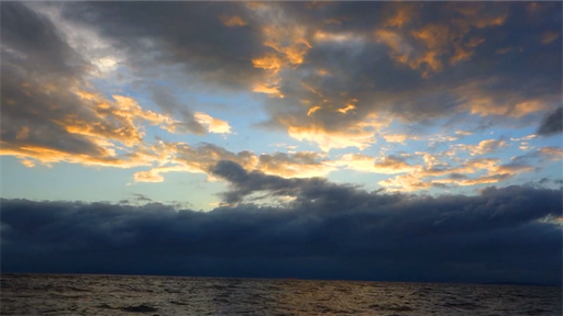 f:id:dreadnote666:20200727111449p:image f:id:dreadnote666:20200727111449p:image