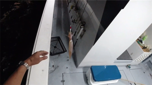 f:id:dreadnote666:20200727111512p:image f:id:dreadnote666:20200727111512p:image