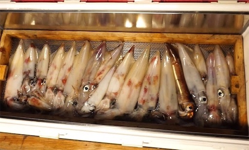 f:id:dreadnote666:20200727111516j:image f:id:dreadnote666:20200727111516j:image