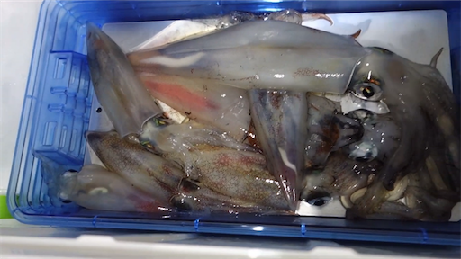 f:id:dreadnote666:20200727111523p:image f:id:dreadnote666:20200727111523p:image