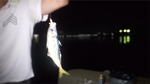 f:id:dreadnote666:20200823102706p:image