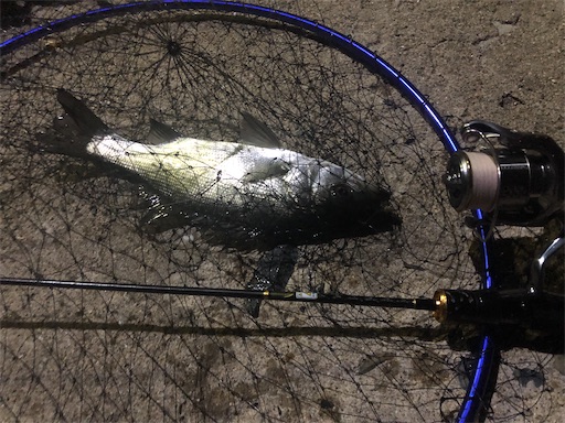 f:id:dreadnote666:20200909111908j:image f:id:dreadnote666:20200909111908j:image