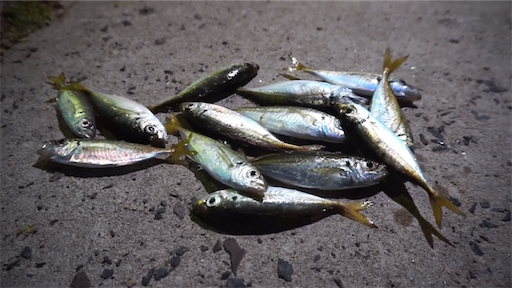 f:id:dreadnote666:20200910152907p:image