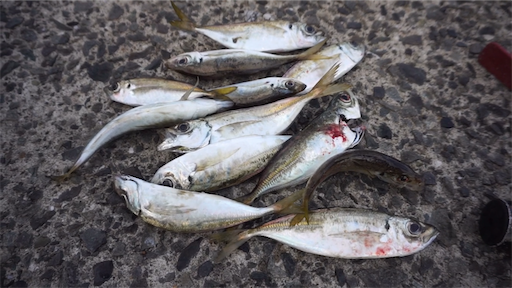 f:id:dreadnote666:20200915113058p:image