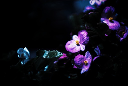 f:id:dreadnote666:20200928111510j:image