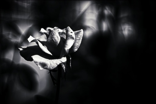 f:id:dreadnote666:20200928111537j:image