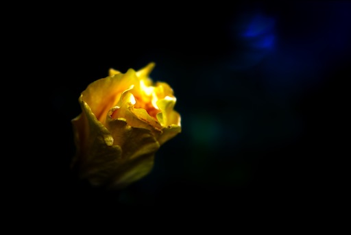 f:id:dreadnote666:20201001125301j:image