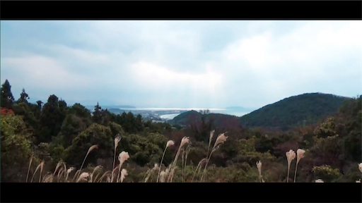 f:id:dreadnote666:20201109120440p:image