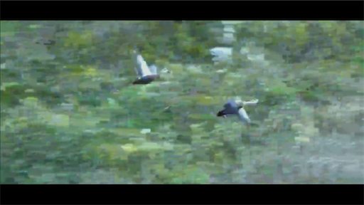 f:id:dreadnote666:20201109120450p:image