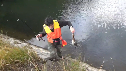 f:id:dreadnote666:20201109120459p:image