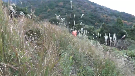 f:id:dreadnote666:20201109120511p:image