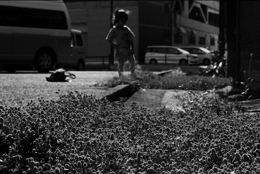 f:id:dreadnote666:20201110093813j:image