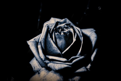 f:id:dreadnote666:20201110093817j:image