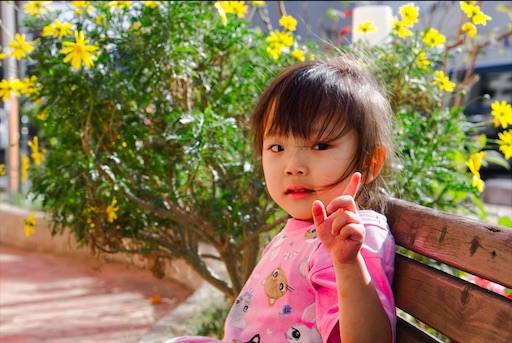 f:id:dreadnote666:20201110093835j:image