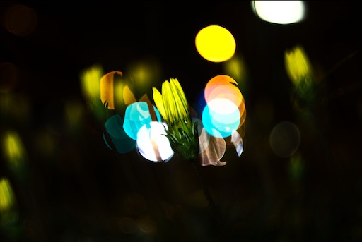 f:id:dreadnote666:20201110093927j:image