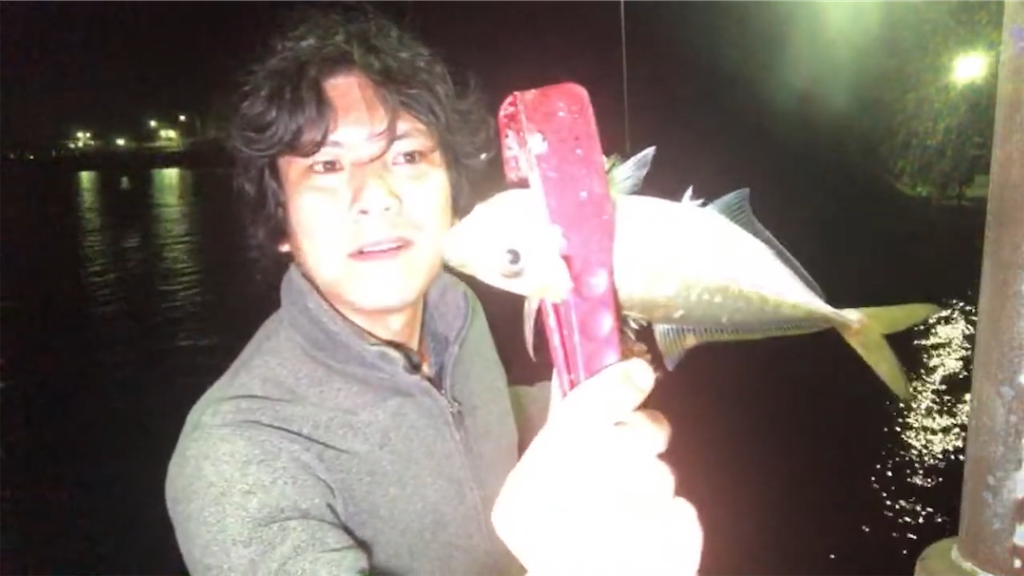 f:id:dreadnote666:20201116110358p:image