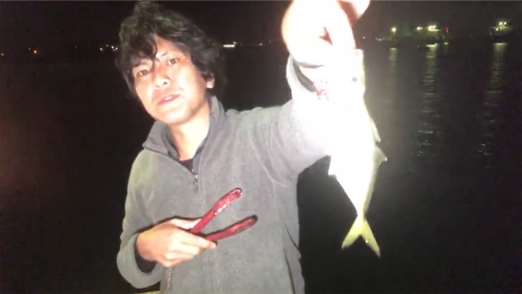 f:id:dreadnote666:20201116110450p:image