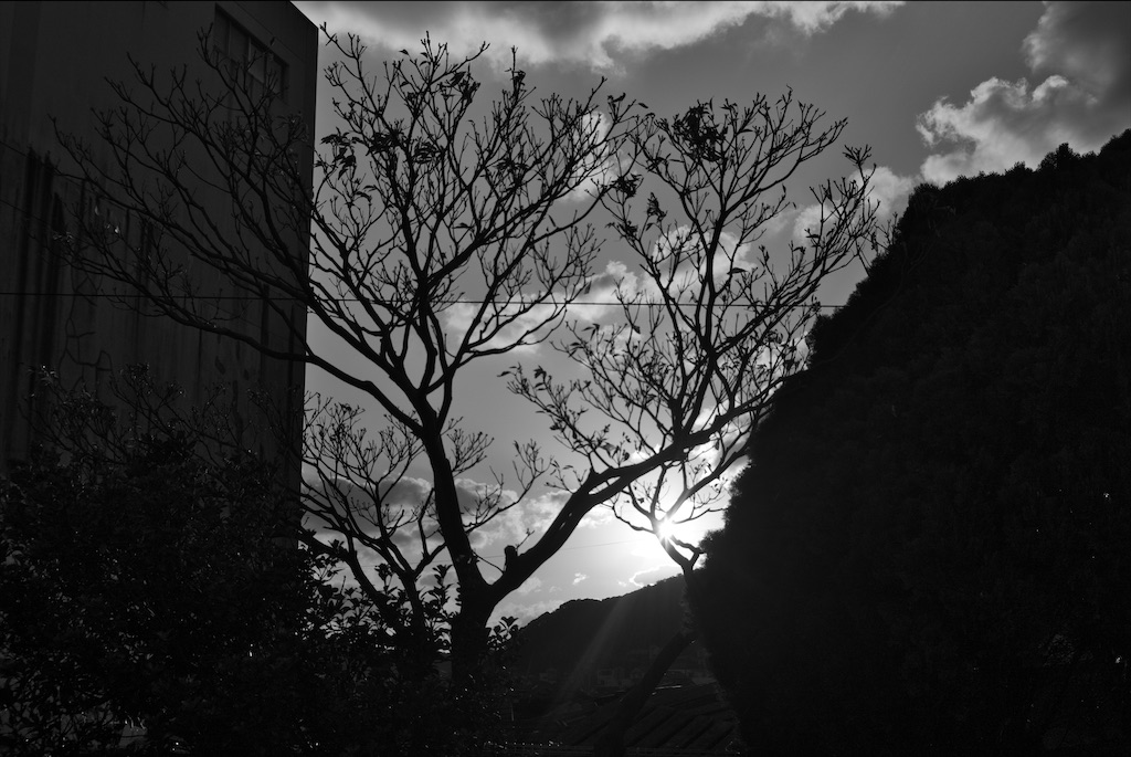 f:id:dreadnote666:20201201094249j:image f:id:dreadnote666:20201201094249j:image