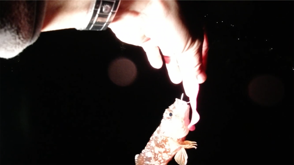 f:id:dreadnote666:20201207103659p:image