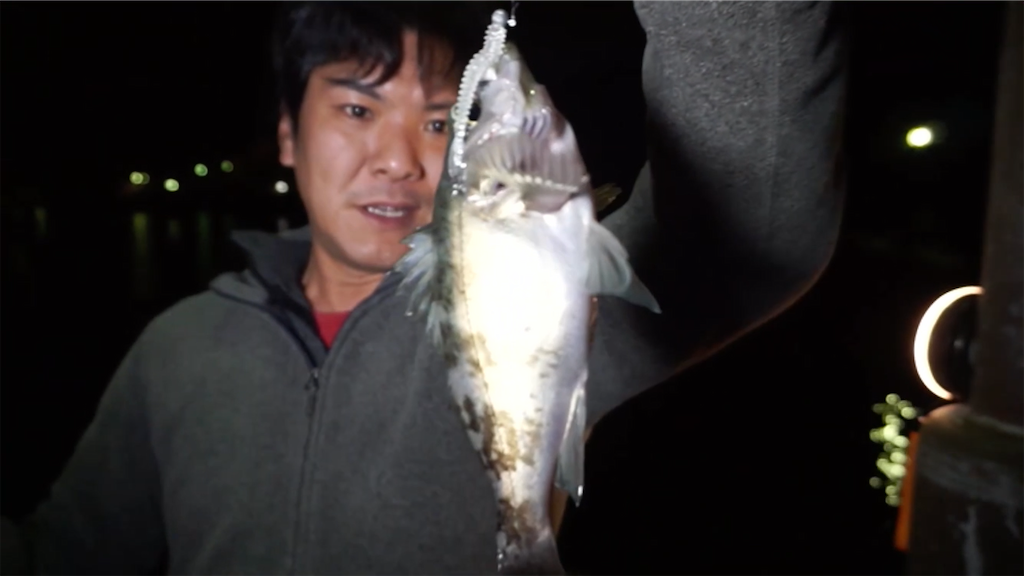 f:id:dreadnote666:20201207103713p:image