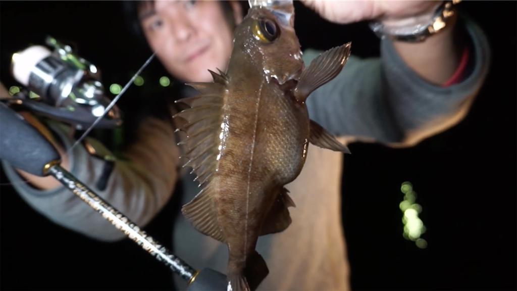 f:id:dreadnote666:20201207103827p:image