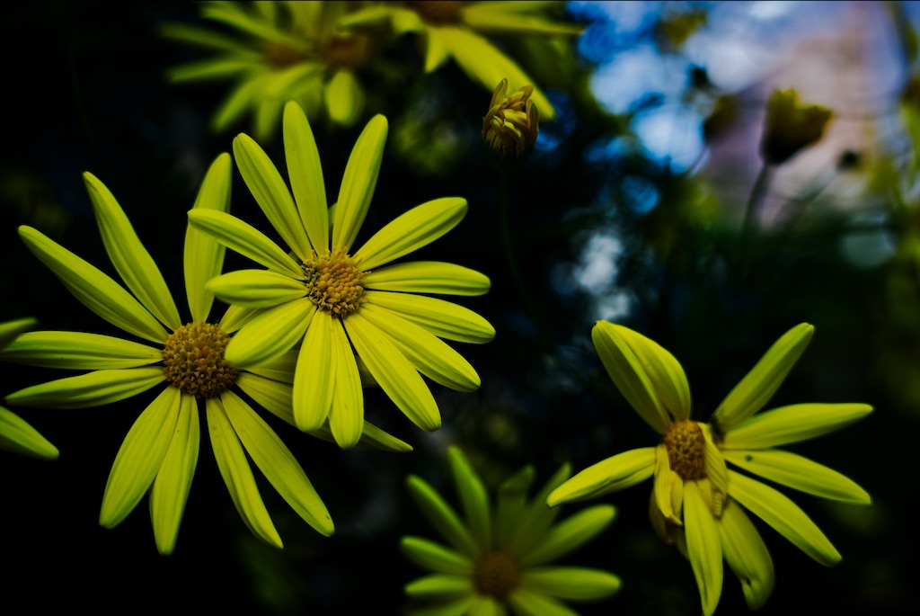 f:id:dreadnote666:20201208091413j:image f:id:dreadnote666:20201208091413j:image