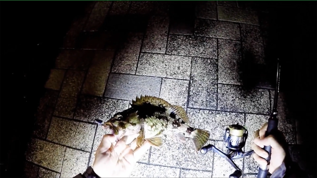 f:id:dreadnote666:20201210110940p:image