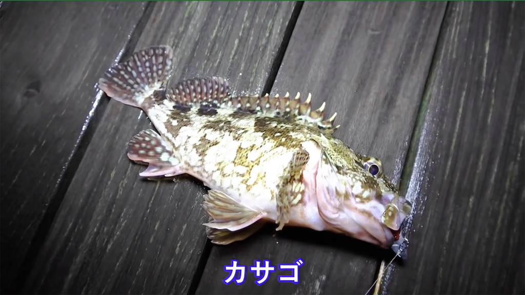 f:id:dreadnote666:20201210111156p:image